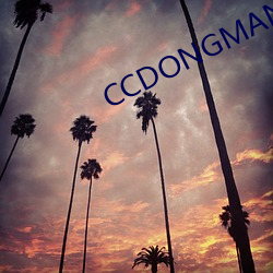 CCDONGMAN