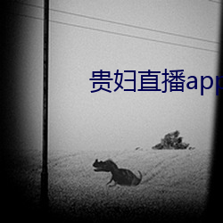 贵妇直(zhí)播app