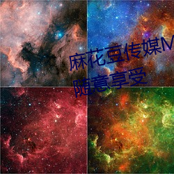 麻花豆传媒MV在线观看优质资源随意享受