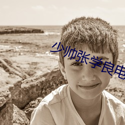 少帅张(張)学良(良)电视剧(劇)全集免费(費)