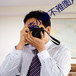 李小璐不雅图片 （一波三折）