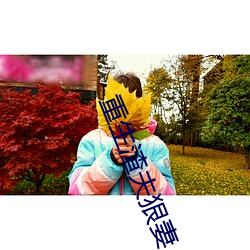 重生渣夫狠妻