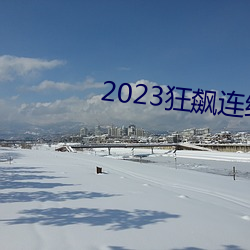 2023狂飙连续剧免费看