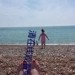 清在线观看(看)免