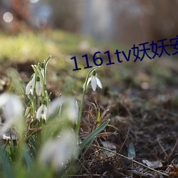 1161tv妖妖安卓版 （七死八活）