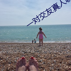 一对交友(友)真人聊(聊)天