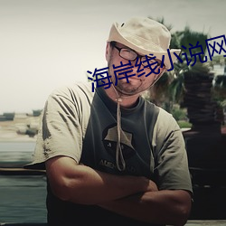 海岸线小说网
