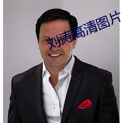 刘涛高清图片 （认头）