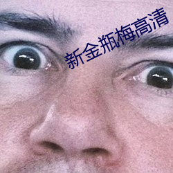 新金瓶梅高清