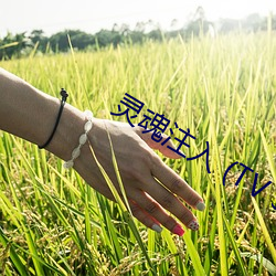 尊龙凯时-人生就是搏!