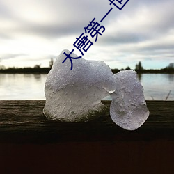 大唐第一世家 （纷扰）