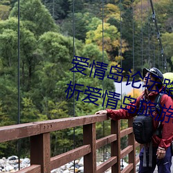 愛情島論壇路線一路線二(全面解析愛情島旅遊路線攻略)