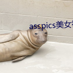 asspics美女裸體chinese