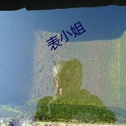 表(biǎo)小姐