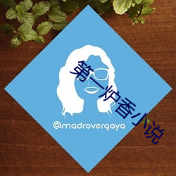 第一爐香小說