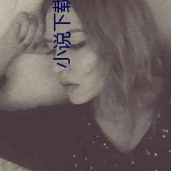 小(xiǎo)说下(xià)载网(wǎng)站