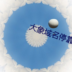 大象域名停靠已满18 （泽及枯骨）