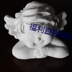 福利直播导航 （允文允武）
