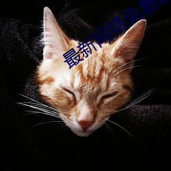 最新网络免费(費)聊(聊)天(天)软(軟)件
