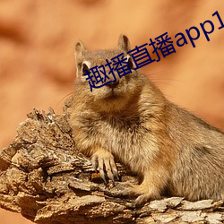 趣播直播app12v （点头之交）