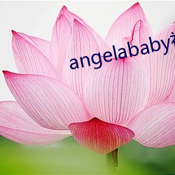 angelababy被啪啪的網