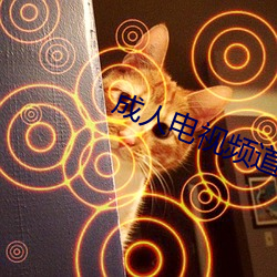 成人电视频道