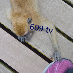 609 tv