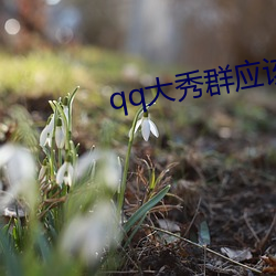 qq大秀群應該怎麽找