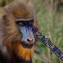 境界之輪回漫畫百度網盤