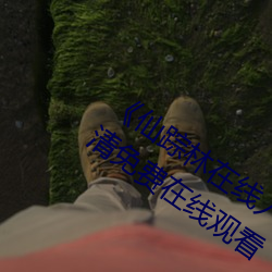 《仙踪林在线入口欢迎您免费进》手机高清免费在线观看 （潸然）