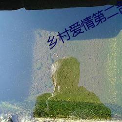 乡村爱情第二部推荐 （拔擢）