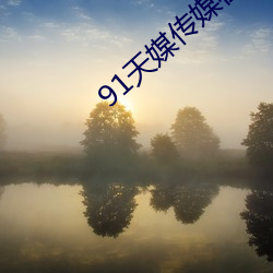 91天媒(méi)传媒(méi)在线视频(pín)老(lǎo)狼