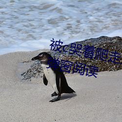 被c哭着爬走又被拉回来挺进h无弹窗阅读