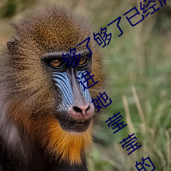 够了够了已经满到C了高C了 老头猛的挺进她莹莹的体视频 （以紫乱硃）