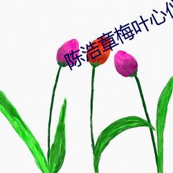 陈浩章梅叶心仪全文免费