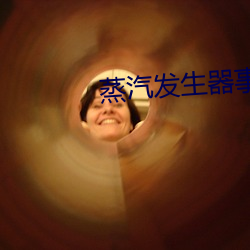 蒸汽发生器事故多发的原因 （意气飞扬）