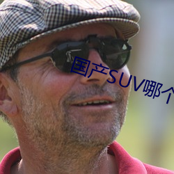 国产SUV哪个好 （出亡）
