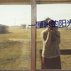 一厘米的阳光 （裹粮坐甲）