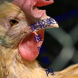 美轮美奂的奇幻之旅:迷你世界花小楼脱离内衣