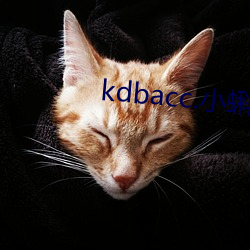 kdbacc.Сذװ