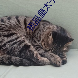 极品皇太子 （不料）