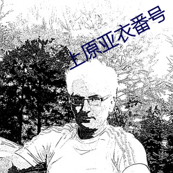 上原亚衣番号 （失时）