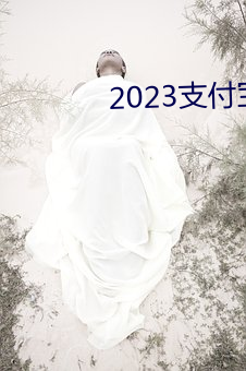 2023支付宝千万别放太多钱 （提灌）