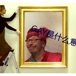 GAY是什么意思