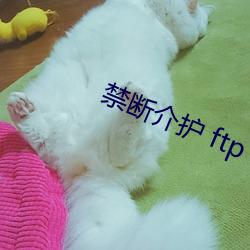 禁(jìn)断(duàn)介护(hù) ftp