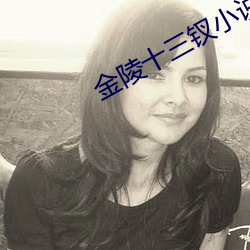 金陵十三(sān)钗小说(shuō)