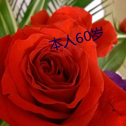 本人(rén)60岁(suì)