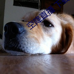 空降直播 下載