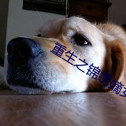 尊龙凯时-人生就是搏!