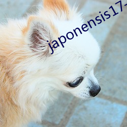 japonensis17—30 （龙蹲虎踞）